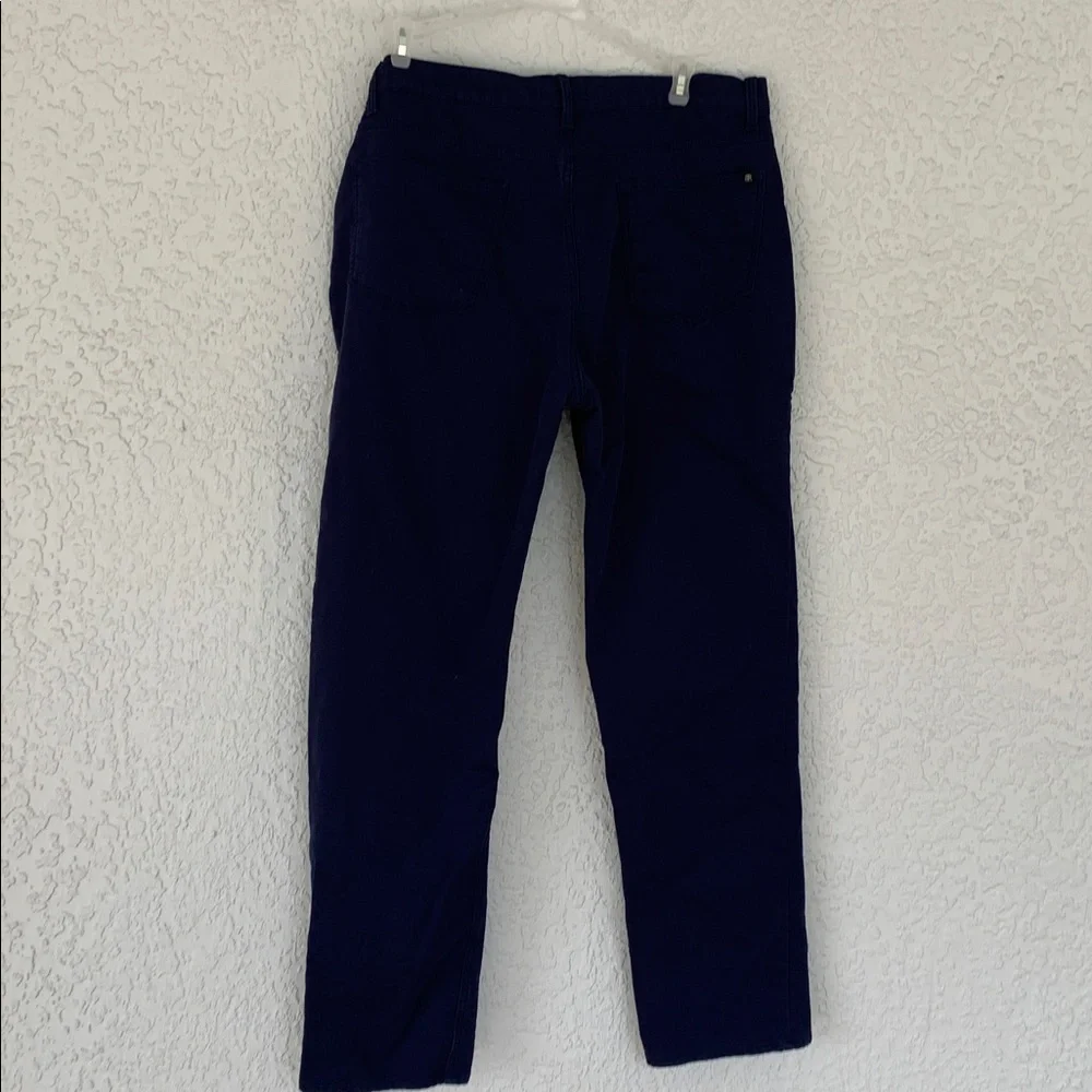Banana Republic Deep Blue Trousers size 38x34